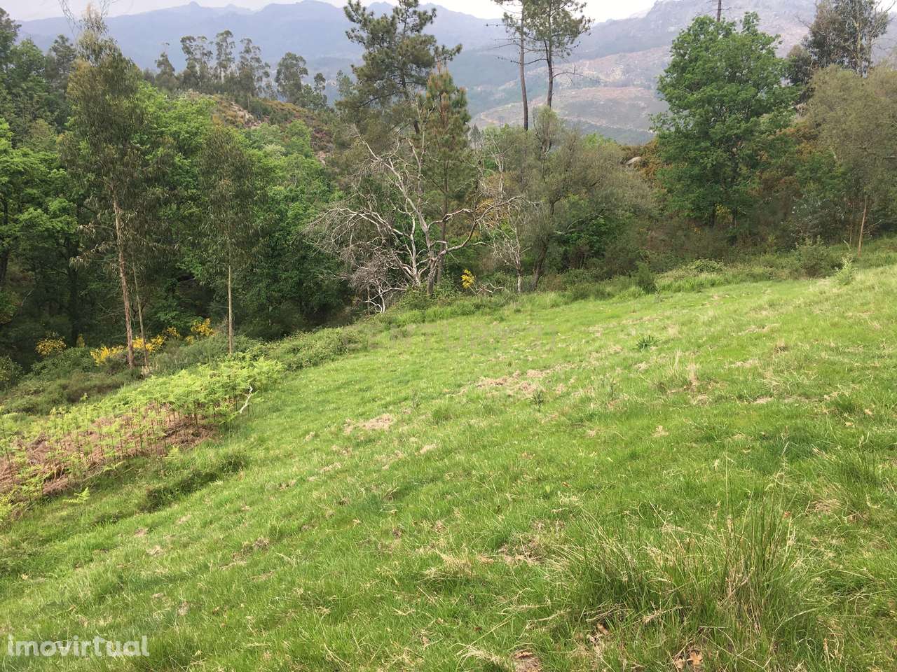 Quinta com 23.000m² à Venda no Gerês para Construção de Moradia ou Pro - Grande imagem: 4/23