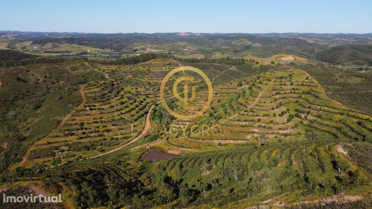 Terreno de 15,6 hectares em Sabóia, Odemira - Grande imagem: 4/12