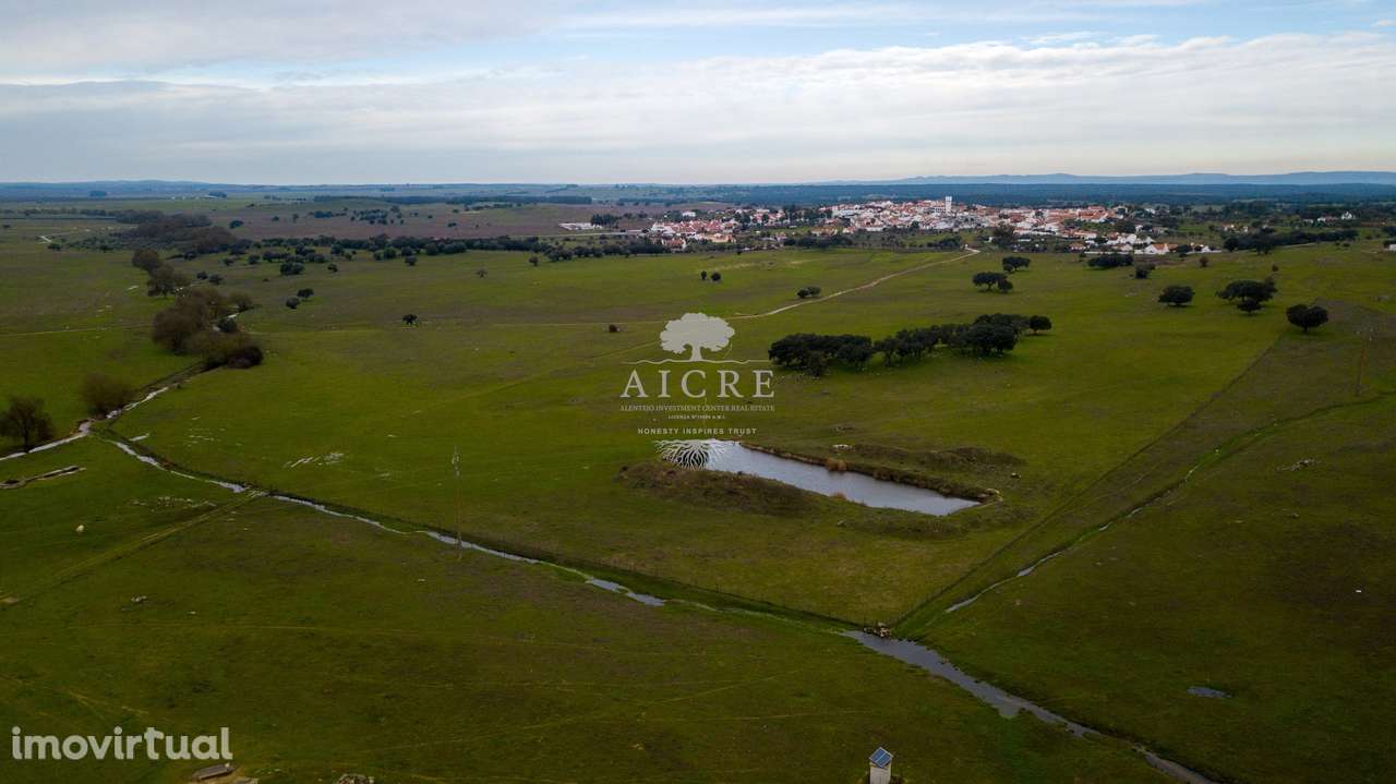 Herdade com Capacidade Fotovoltaica - - Grande imagem: 4/9