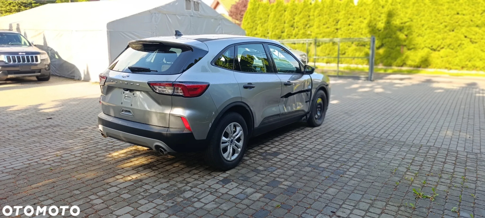 Ford Kuga 1.5 EcoBoost AWD Trend ASS - 12