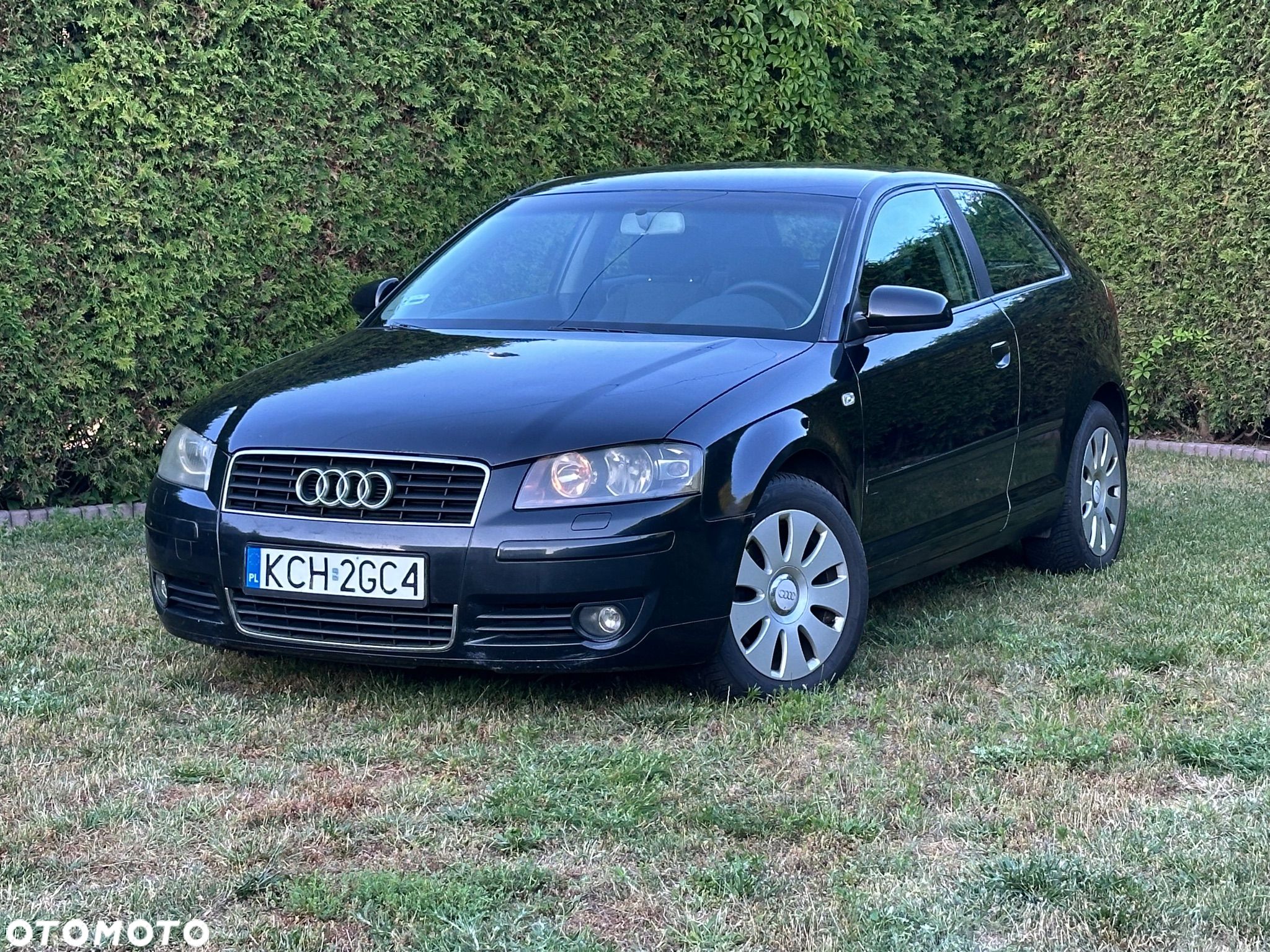 Audi A3 1.9 TDI Attraction - 1