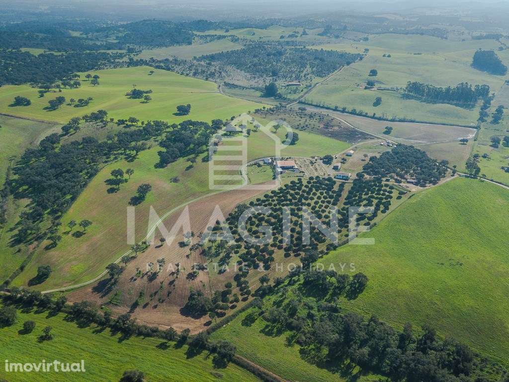 Quinta/Montado com 18ha no Cercal - Ideal para Turismo Rural - Grande imagem: 2/60