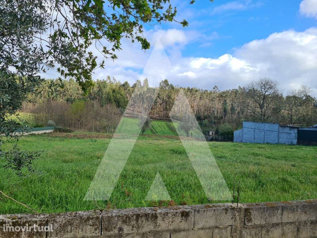 Terreno para Construção em Fermentões - Valongo do Vouga - Grande imagem: 5/18