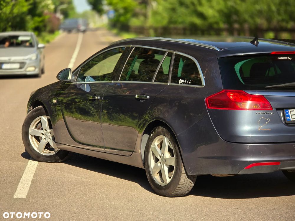 Opel Insignia 2.0 CDTI EcoFLEX Cosmo - 39