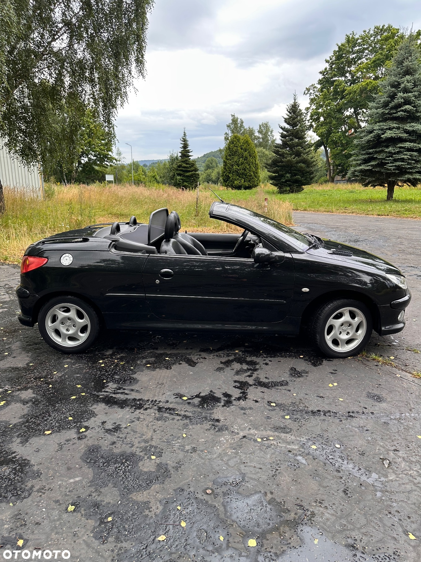 Peugeot 206 CC - 16