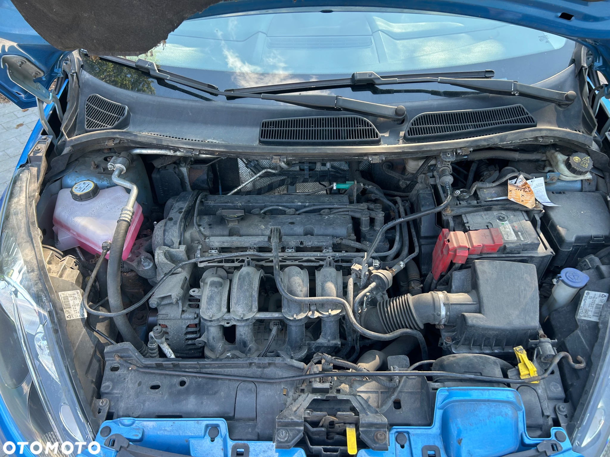 Ford Fiesta 1.25 Trend - 12