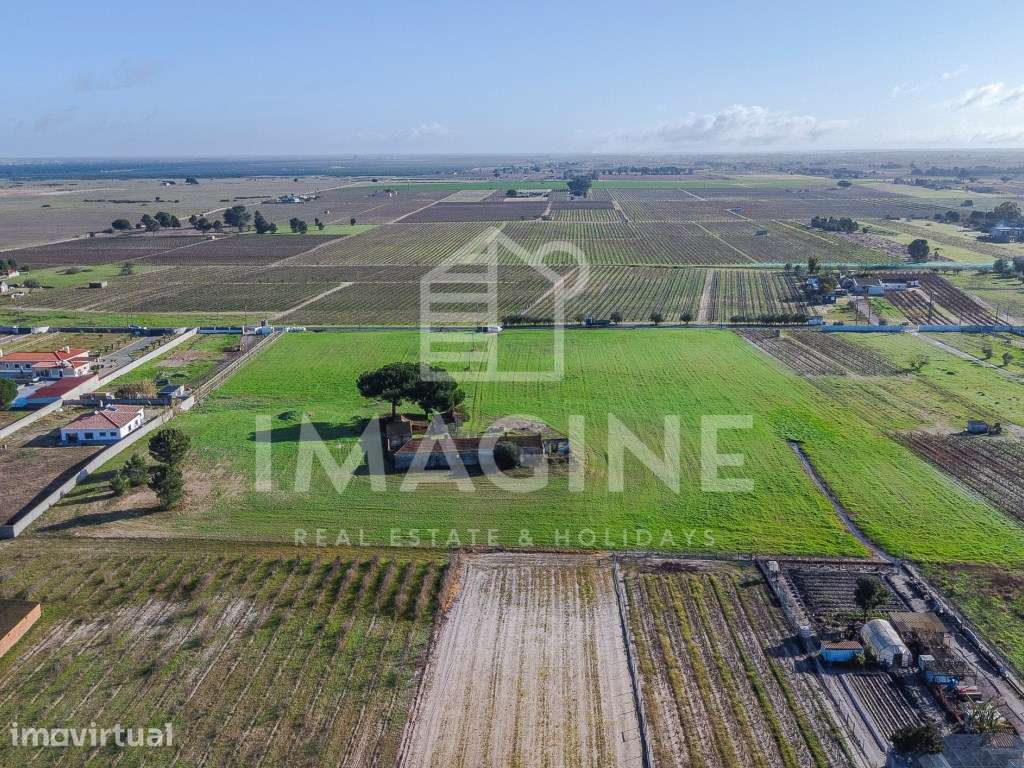 Terreno com 26.000 m² em Palmela - Localização Privilegiada e Eleva... - Grande imagem: 5/12