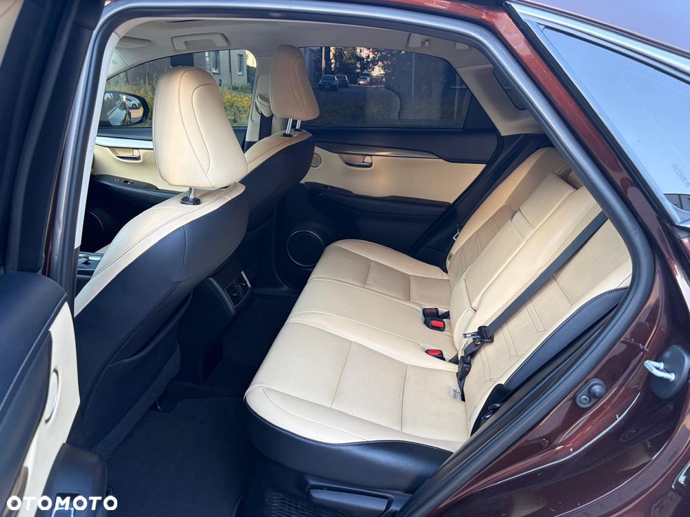 Lexus NX 300h Elite AWD - 13