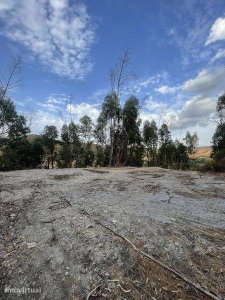 Terreno perto da barragem de odelouca, com largo para casa de madeira - Grande imagem: 3/10