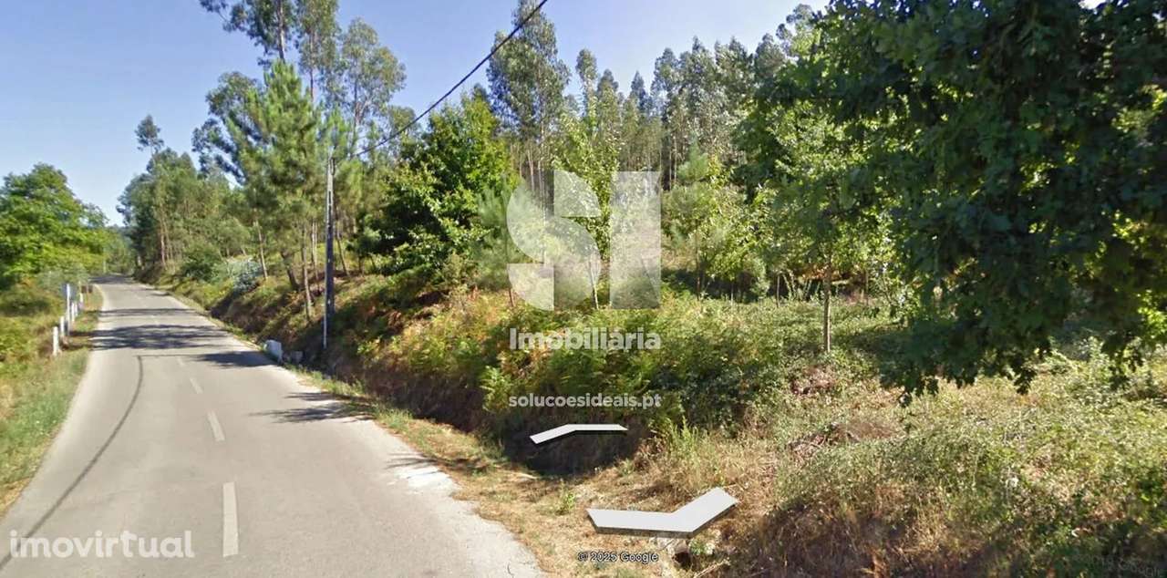 Terreno em Arganil - Grande imagem: 5/6