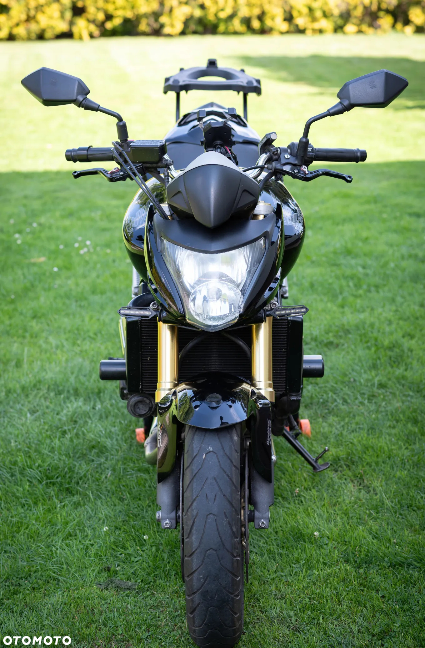 Honda Hornet - 5