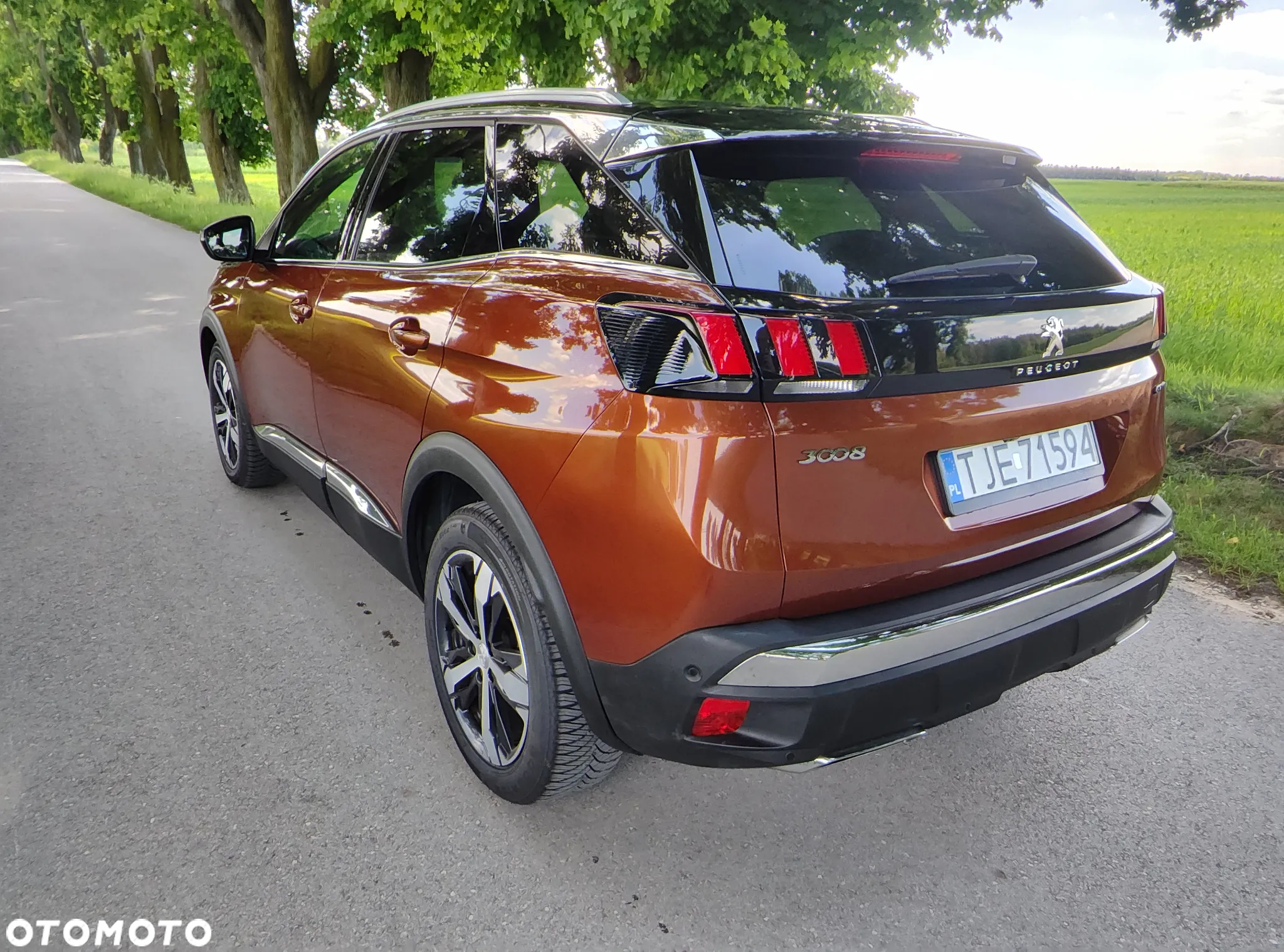 Peugeot 3008 2.0 BlueHDi GT S&S EAT8 - 10