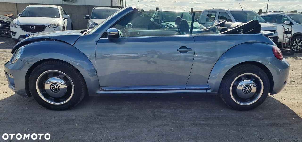 Volkswagen Beetle - 5