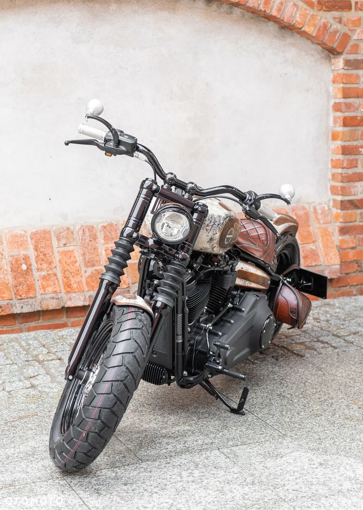 Harley-Davidson Softail - 8