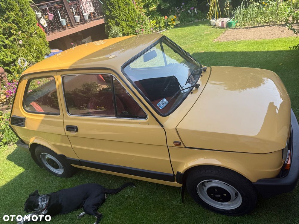 Fiat 126 - 13