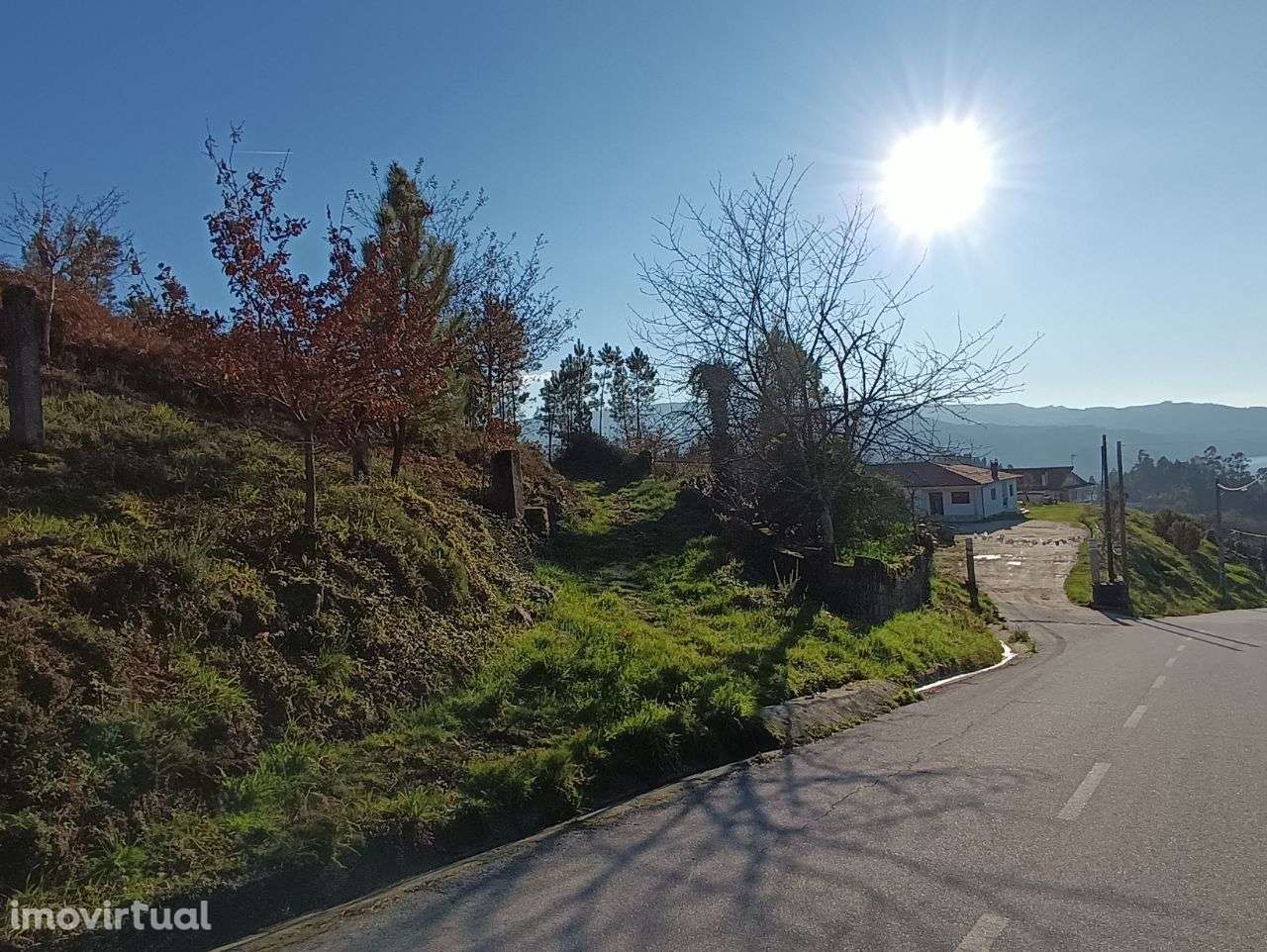 Terreno – Oliveira de Frades - Grande imagem: 5/21