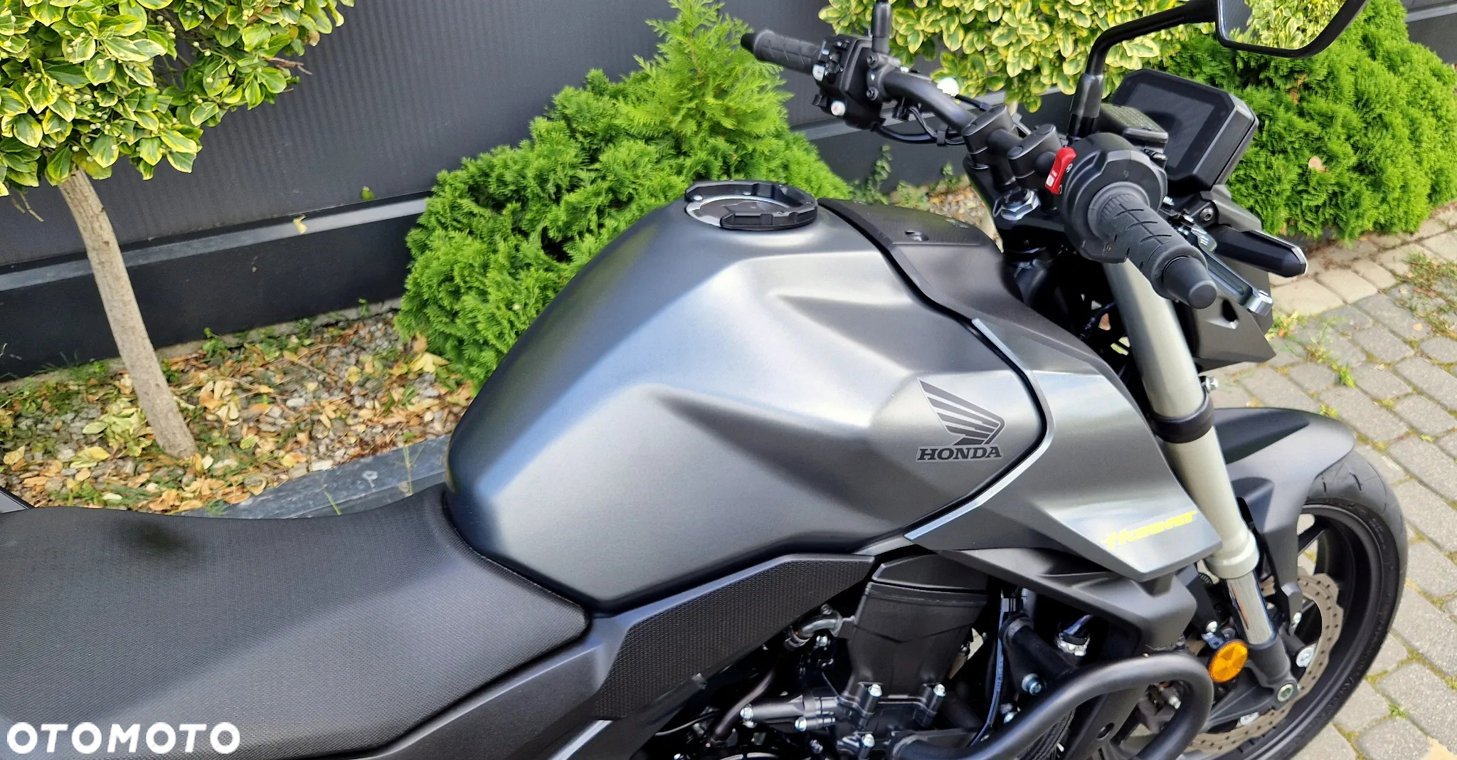 Honda Hornet - 20