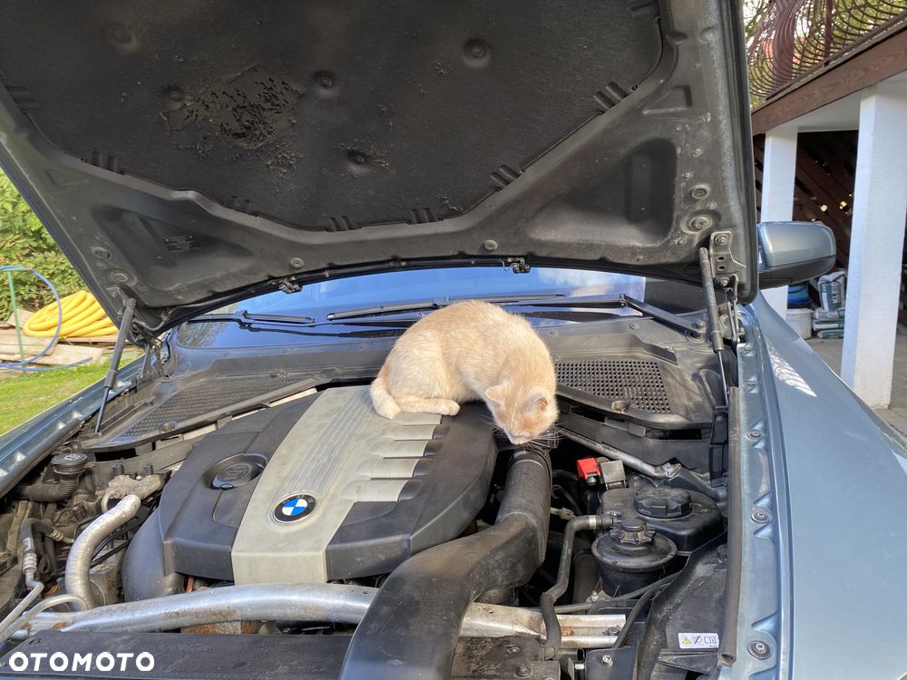 BMW X5 3.5d xDrive - 7