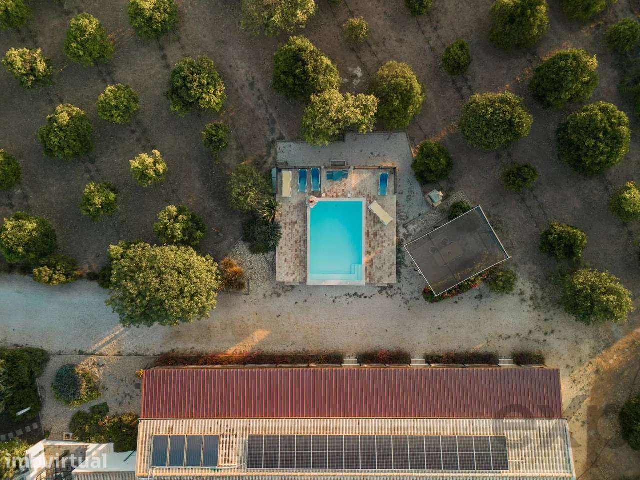 3.3 ha Quinta no Algarve com rendimento de aluguer. pomares de fruta e - Grande imagem: 4/60