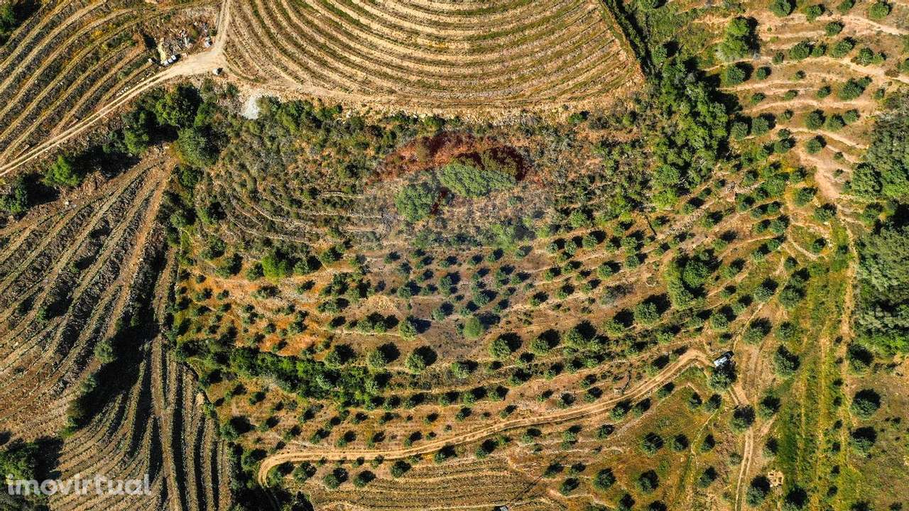 Terreno  para venda - Grande imagem: 4/6