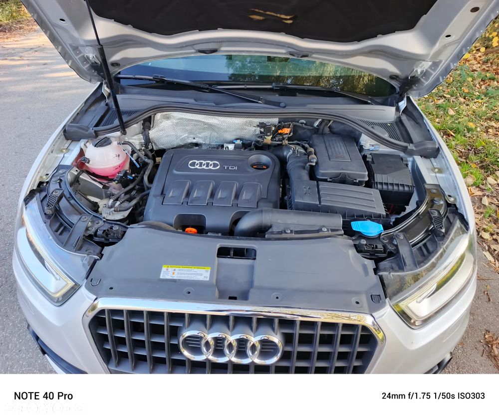 Audi Q3 - 19