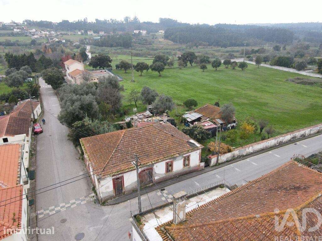 Ateliê T6 em Santa Clara e Castelo Viegas - Grande imagem: 4/12