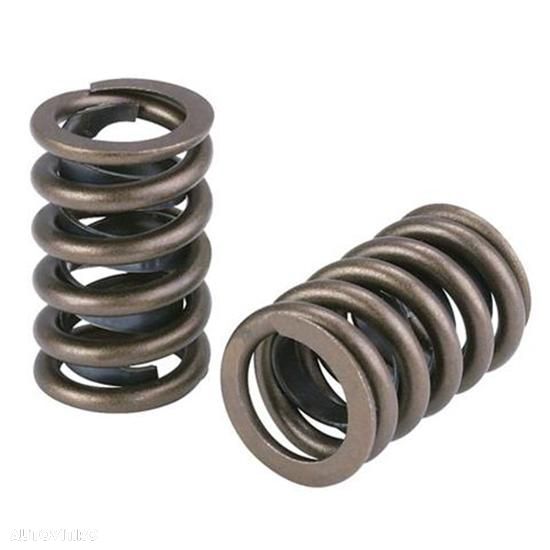 Arcuri supapa 4w2472 caterpillar - 1