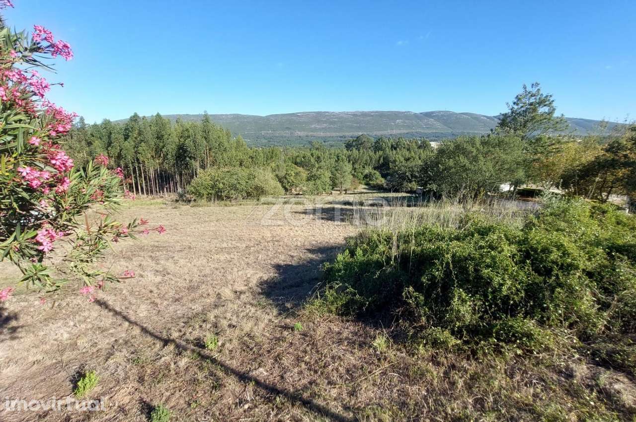 Terreno para construção com 7080 m2 na Cumeira de Cima, Juncal - Grande imagem: 4/26