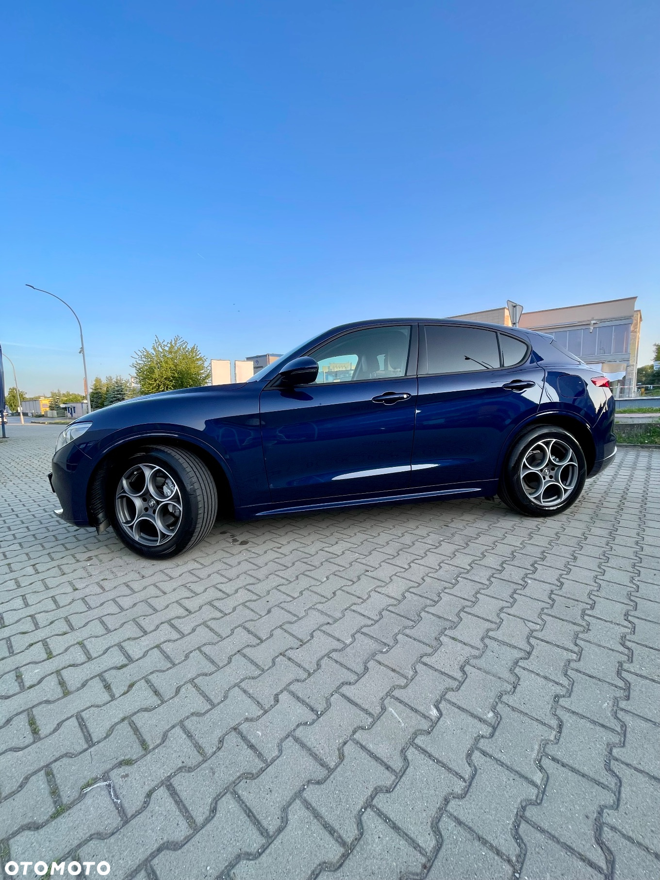 Alfa Romeo Stelvio 2.2 JTDM Super - 6