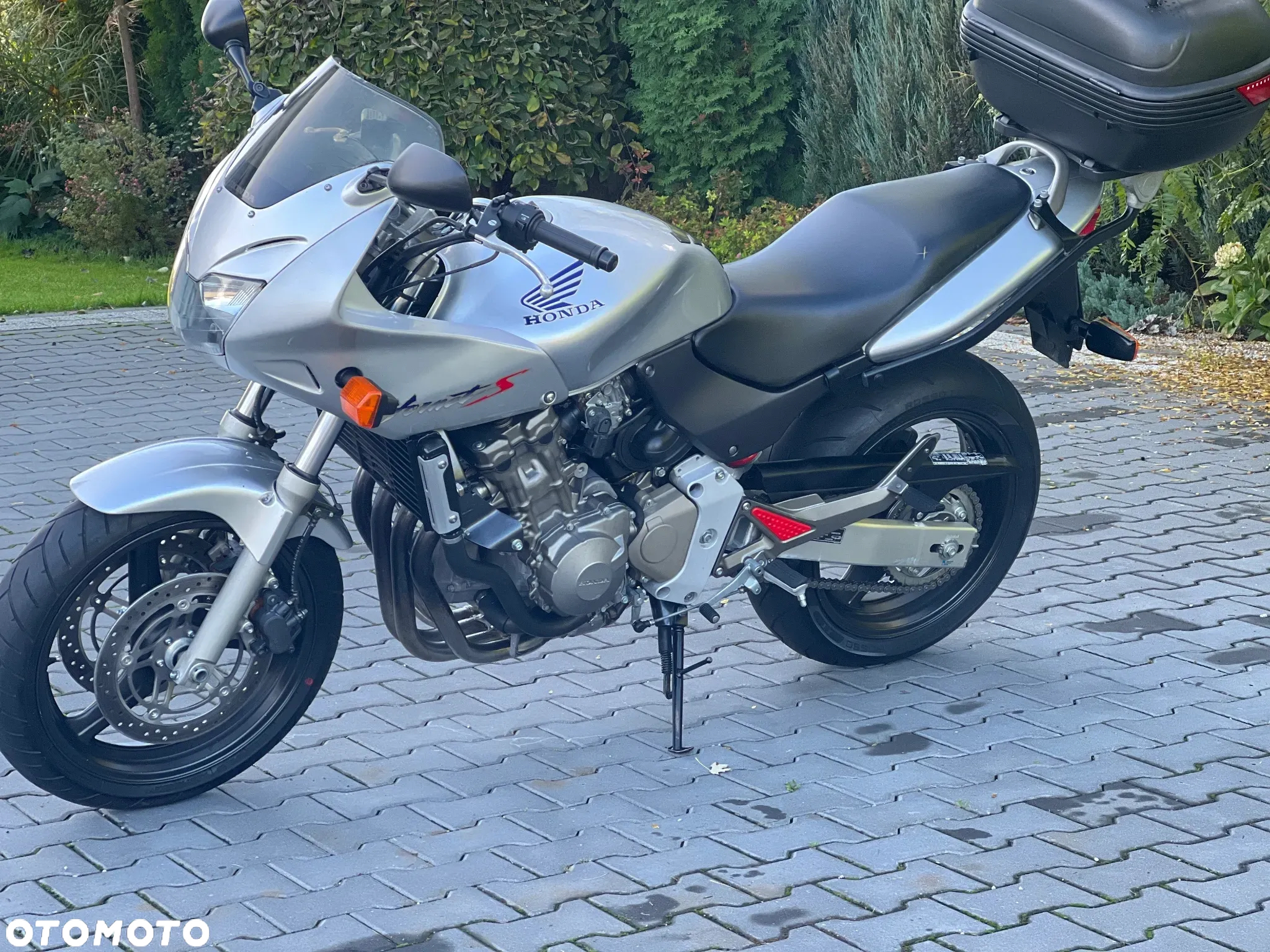 Honda Hornet - 6