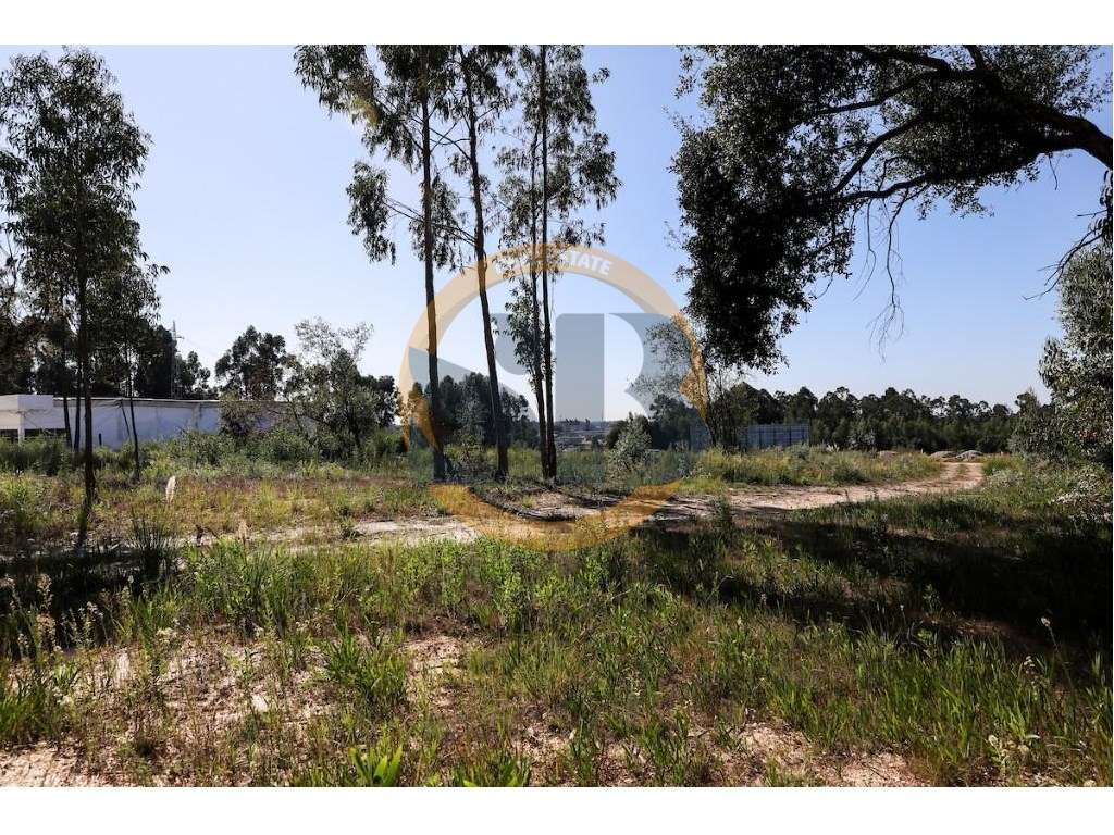 Terreno Santa Maria da Feira - Grande imagem: 2/7