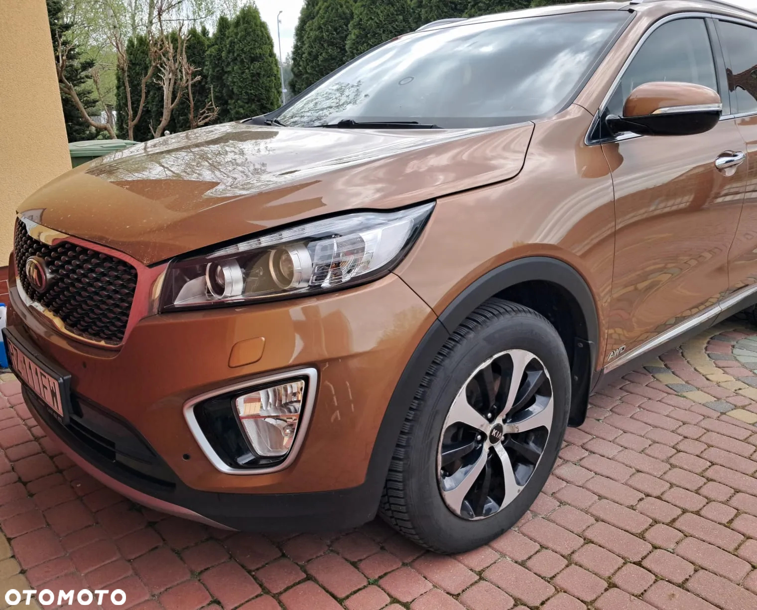 Kia Sorento - 3
