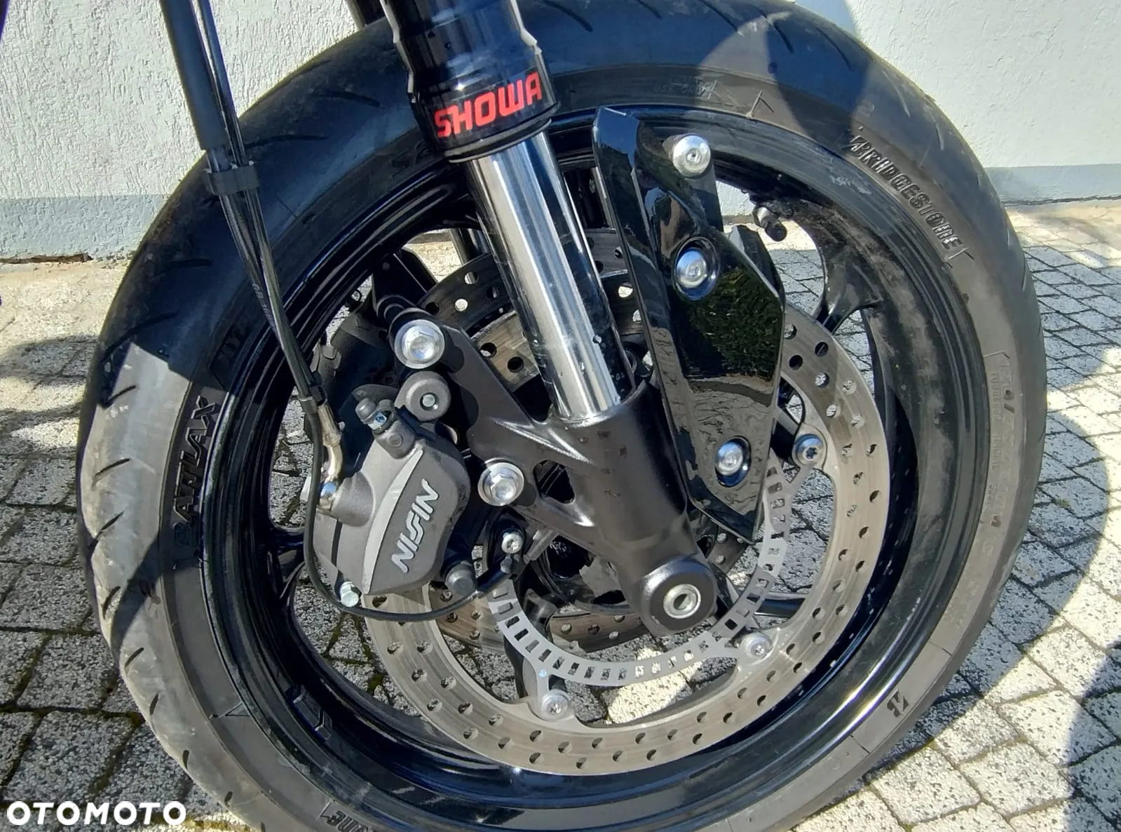 Triumph Tiger - 24