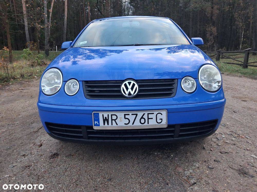 Volkswagen Polo - 12