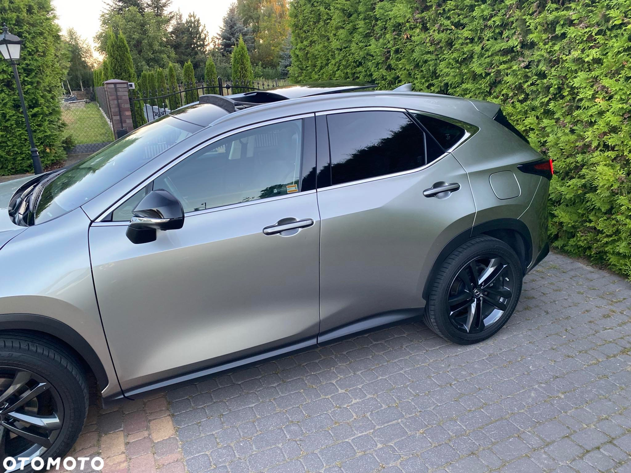 Lexus NX - 3