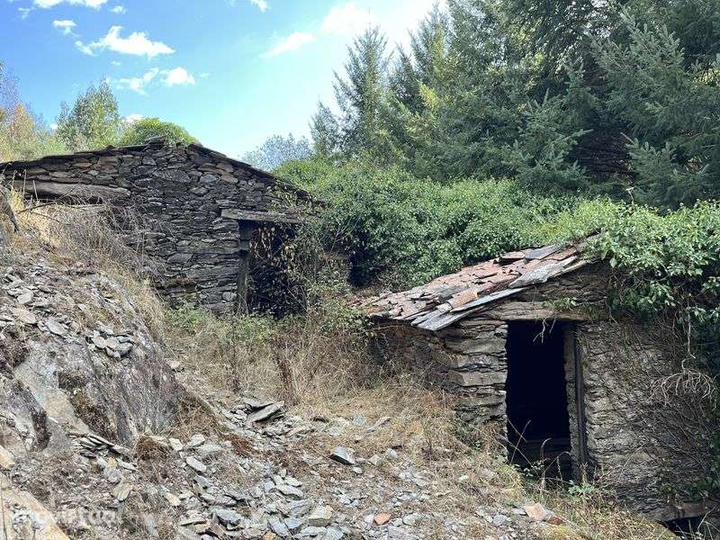 Quinta com 5hec - Serra da Lousã - Grande imagem: 5/11