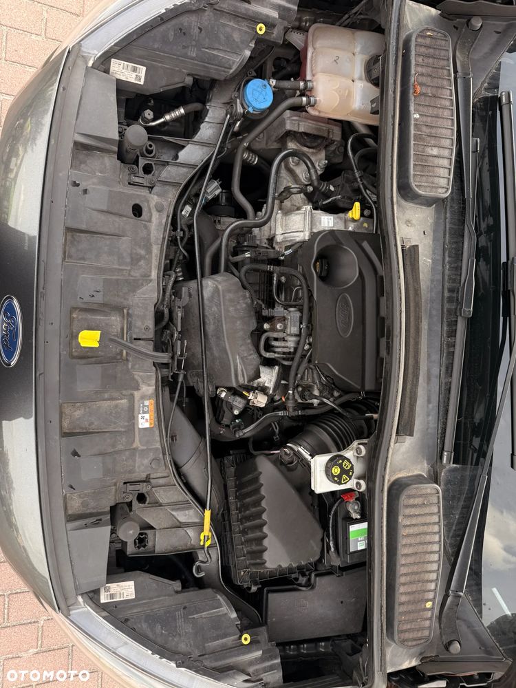 Ford C-MAX - 24