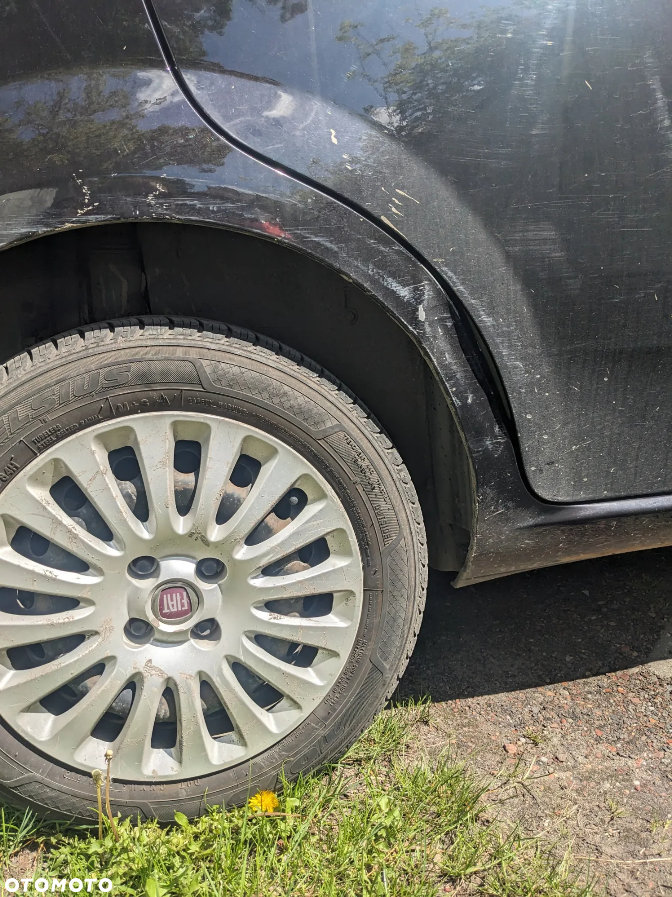 Fiat Punto Evo 1.4 8V Dynamic Dualogic - 25