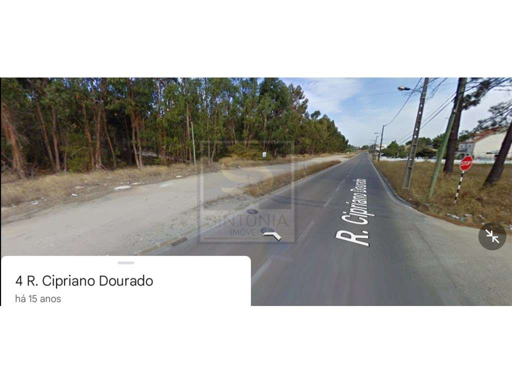 Terreno em avos á entrada da Marisol - Grande imagem: 2/2