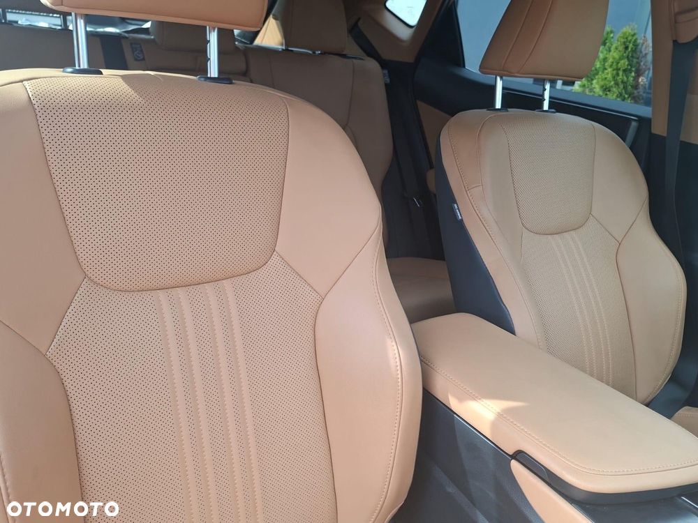 Lexus NX - 29