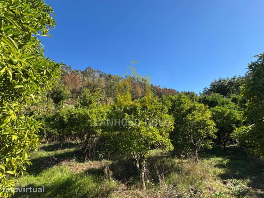Terreno Agrícola para Venda em Friande, Póvoa de Lanhoso - Grande imagem: 3/16