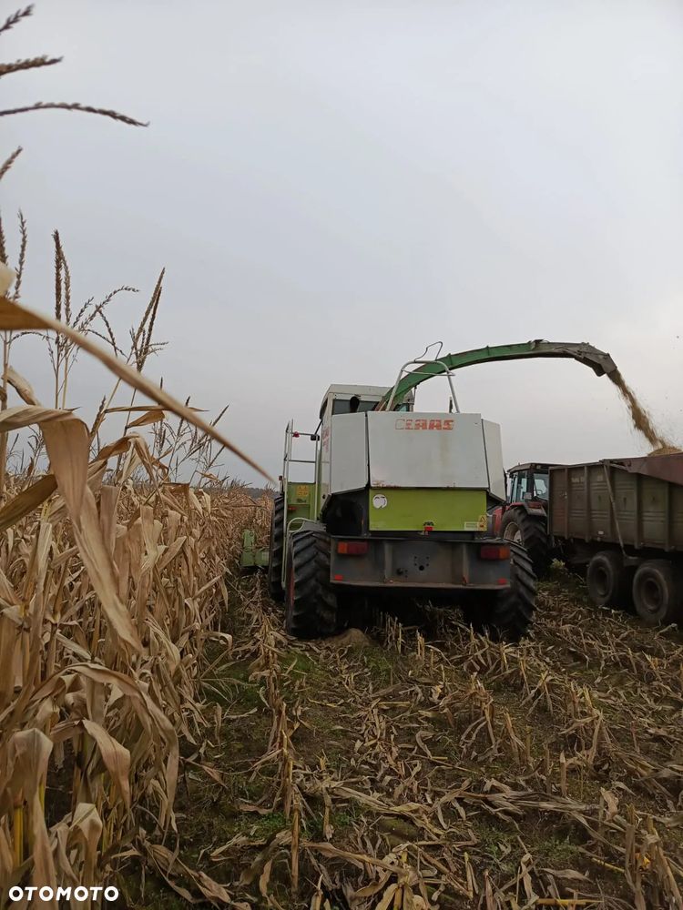 Claas Jaguar 840 - 8