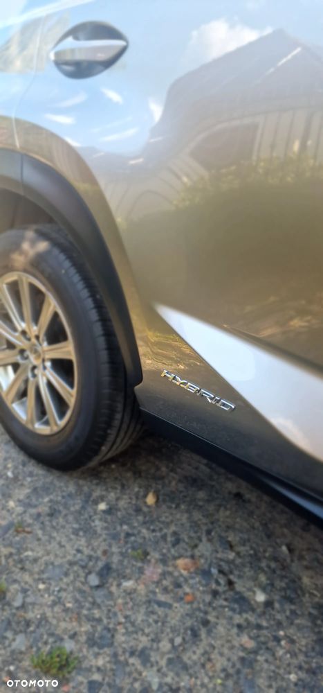 Lexus NX 300h Elite AWD - 19