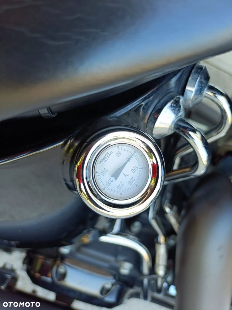 Harley-Davidson Softail Blackline - 18