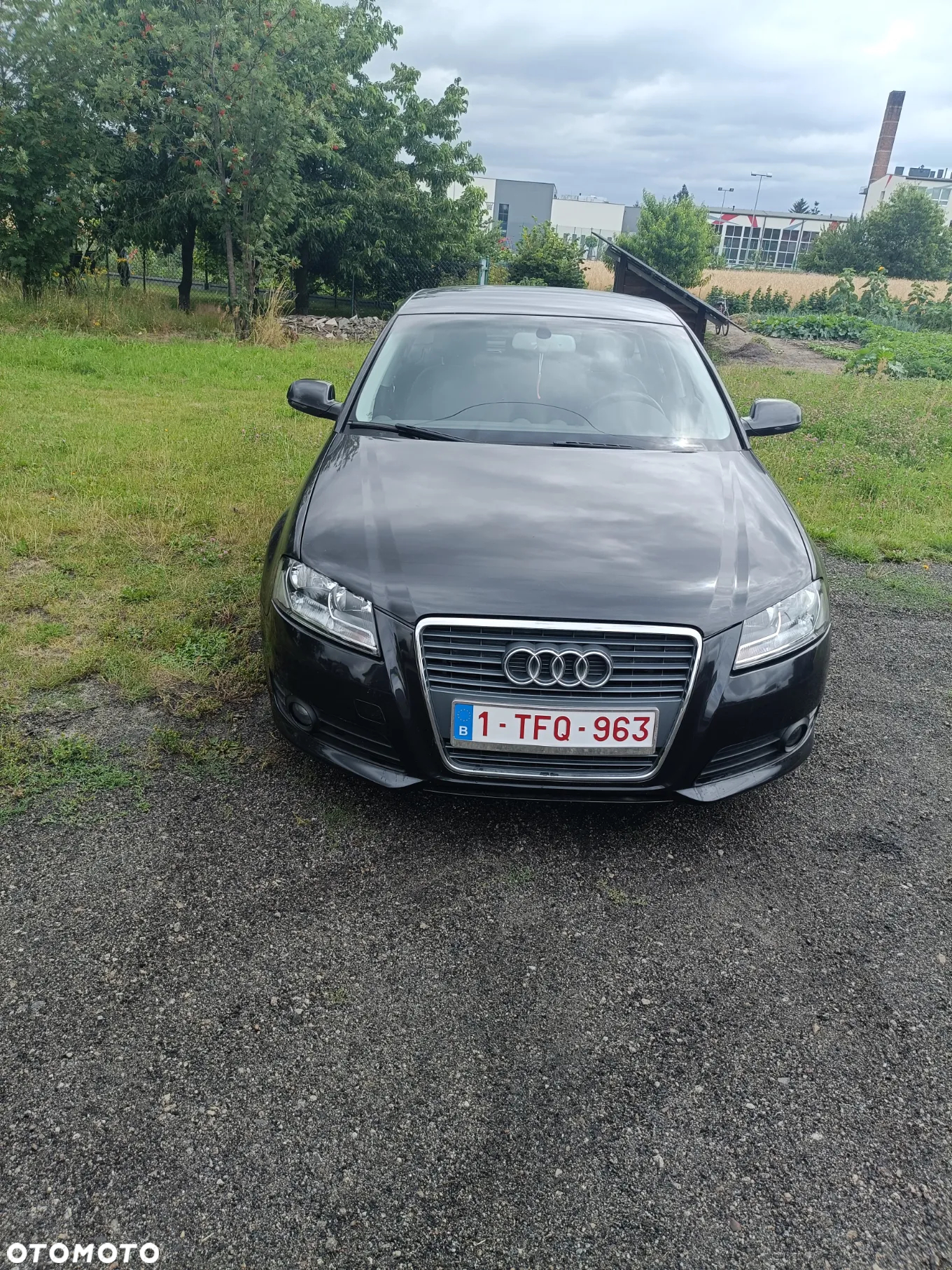 Audi A3 1.6 TDI 102g Sportback DPF - 3