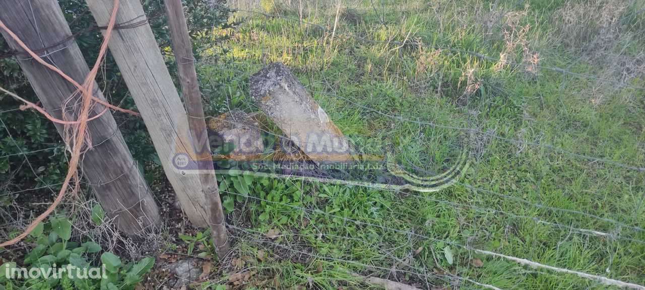 Terreno em Mora (MOR088) - Grande imagem: 4/5