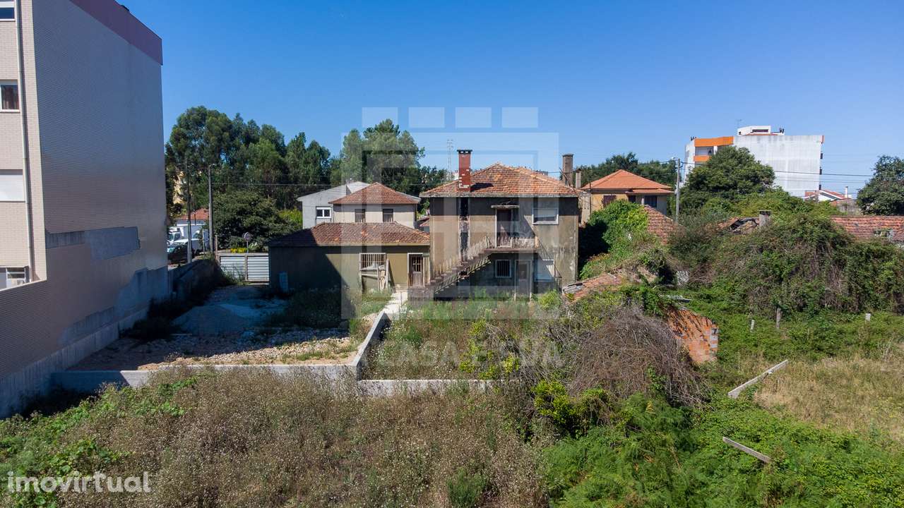 Terreno e ruína em Lourosa - Grande imagem: 5/25