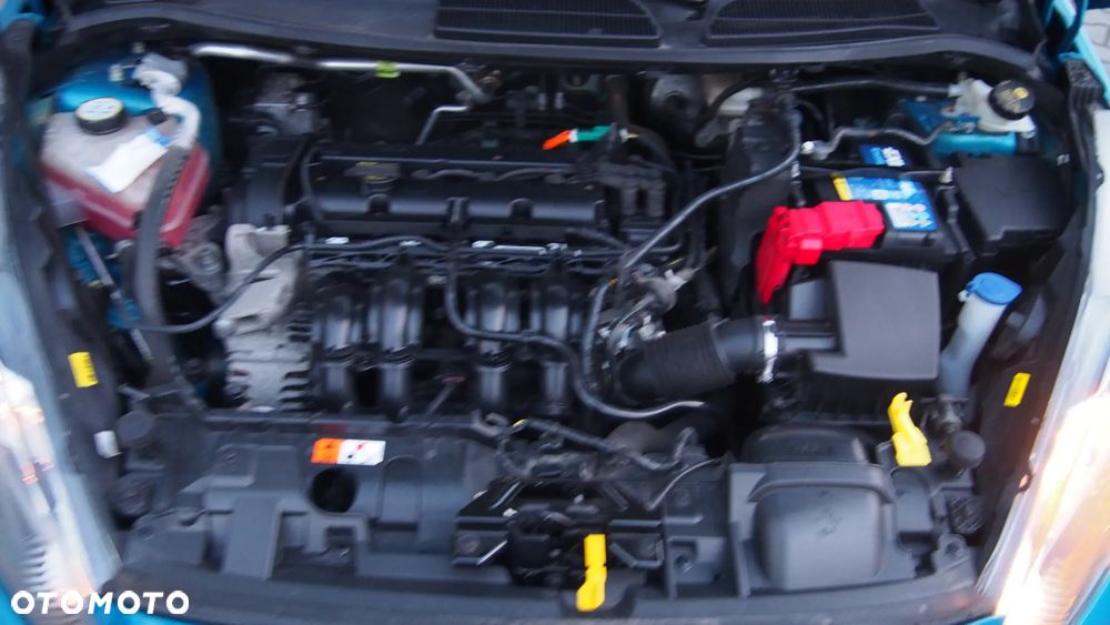 Ford Fiesta - 24