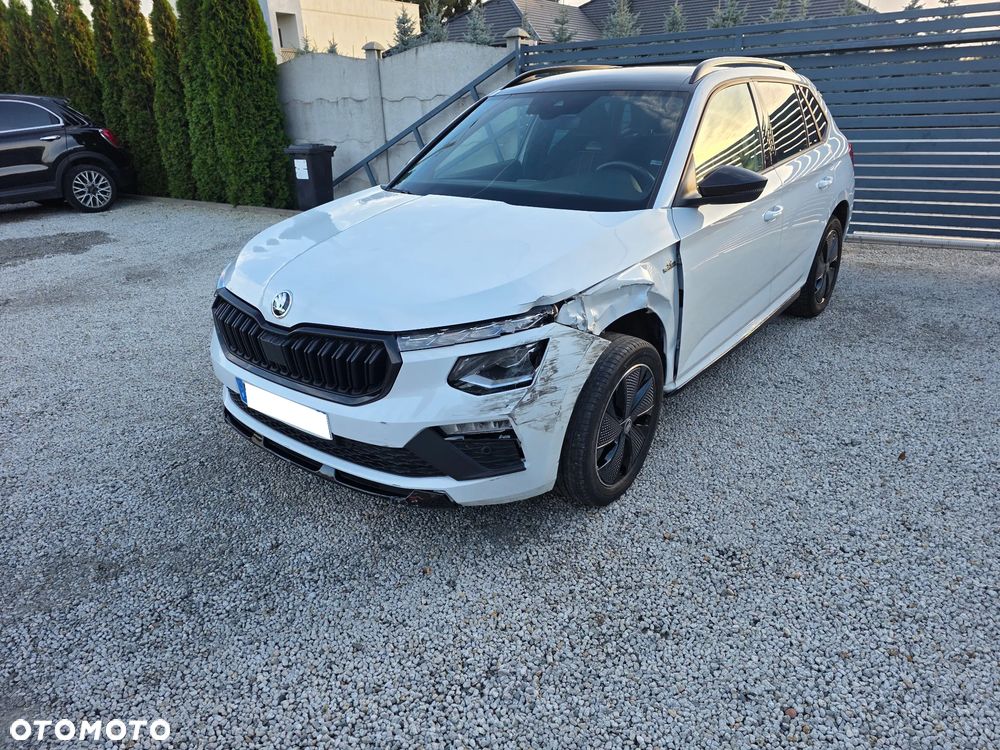 Skoda Kamiq - 21