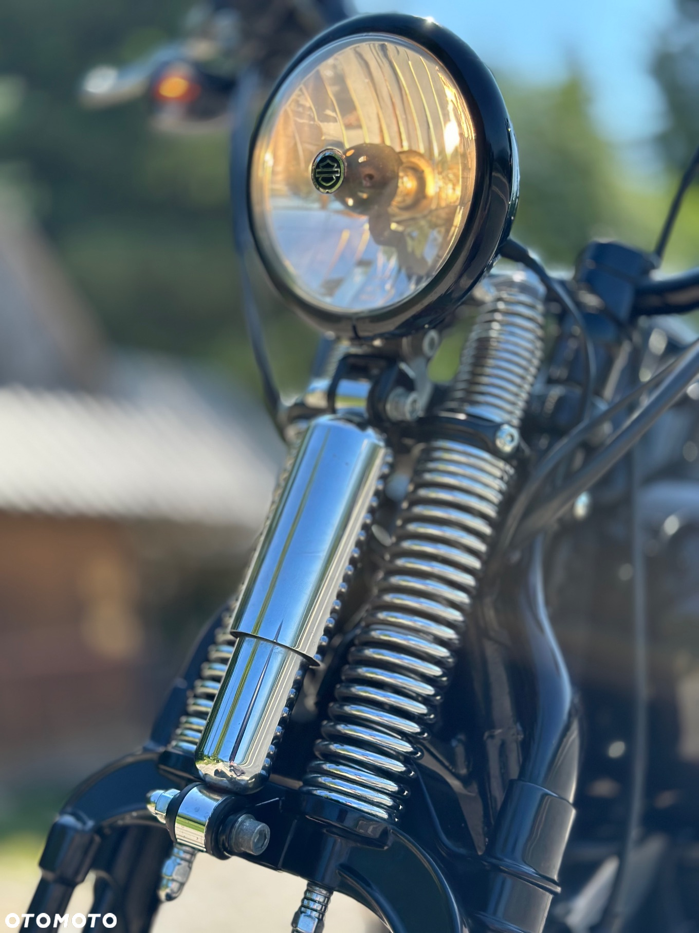 Harley-Davidson Softail Cross Bones - 4